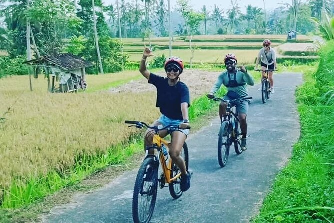 Downhill From Kintamani Cycling Shared Tours in Ubud - Included Activities