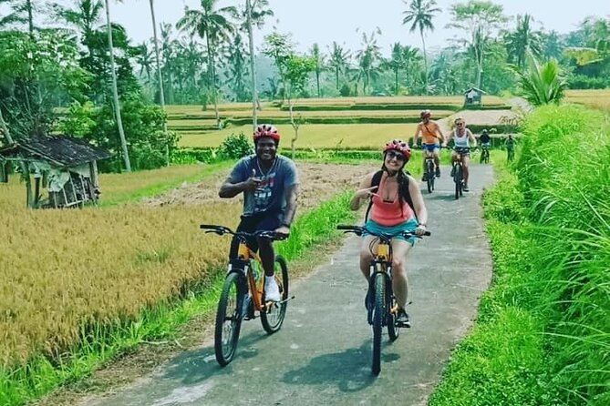 Downhill From Kintamani Cycling Shared Tours in Ubud - Sum Up