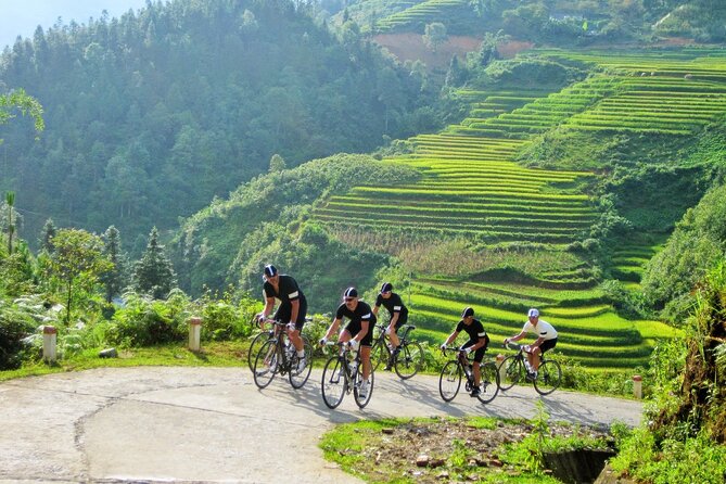 Downhill Into Sapa Valley by Bike Full Day Tour - Tour Overview