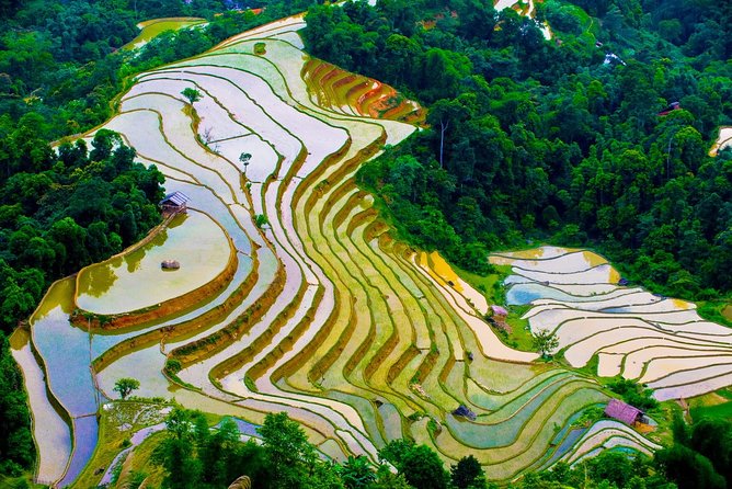 Downhill Into Sapa Valley by Bike Full Day Tour - Health and Safety Information