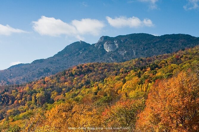 Downtown Asheville & Biltmore Village: Private Full-Day Tour - Biltmore Village Exploration