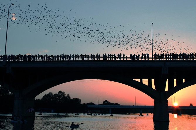 Downtown Austin Sunset Kayak Tour With 1.5 Million Bats - Key Points