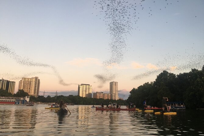 Downtown Austin Sunset Kayak Tour With 1.5 Million Bats - Guest Reviews