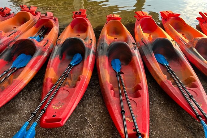 Downtown Austin Sunset Kayak Tour With 1.5 Million Bats - Kayaking Near Downtown Austin