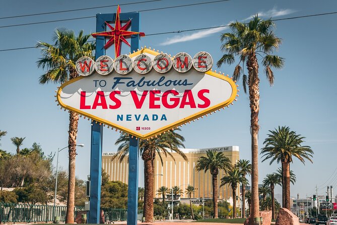 Downtown Las Vegas Fremont Street Experience Private Tour - Guide Qualifications and Accessibility