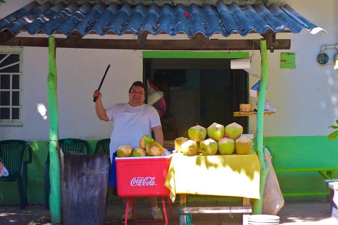 Downtown Puerto Vallarta Food Tour With Vallarta Food Tours - Reviews