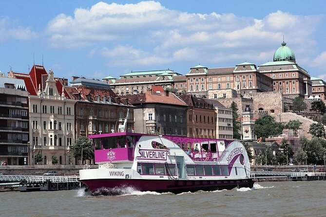 Downtown Sightseeing Cruise - What to Expect