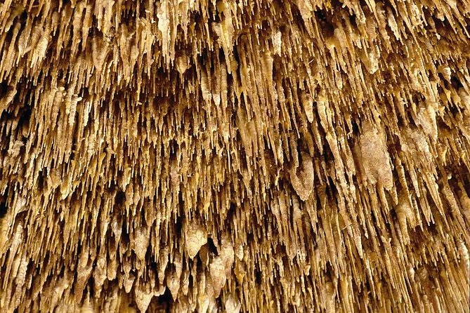 Drach Caves With Port Cristo and Pearl Shop Mallorca Full Day Tour - Exploring the Drach Caves