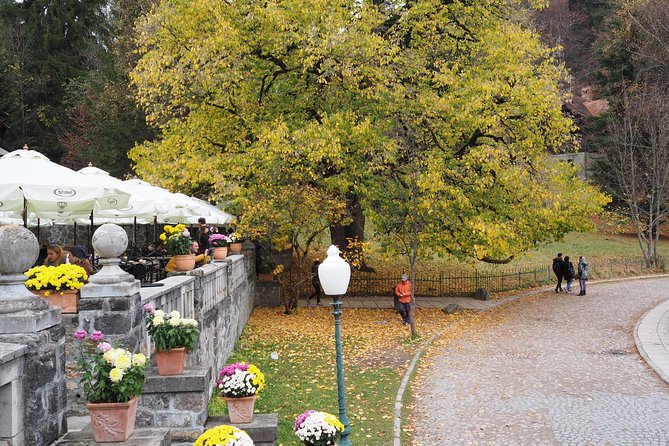 Dracula & Peles Castle - Tickets Included - Itinerary