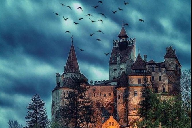 Draculas Castle and Peleș Royal Castle - Private Tour - Transportation and Logistics