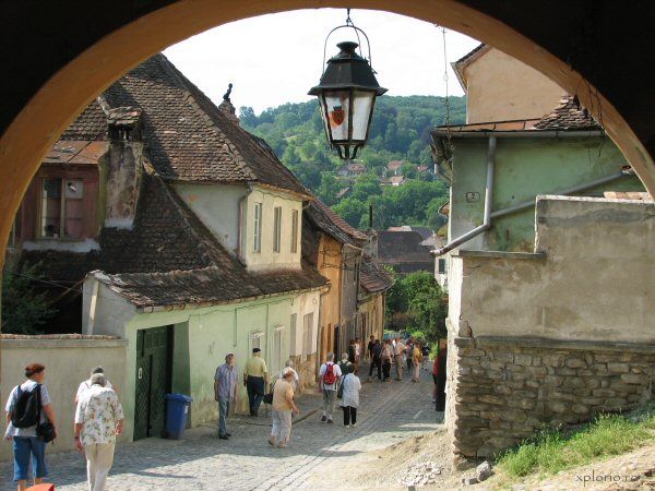 Dracula'S Castle & Sighisoara 2-Day Tour From Bucharest - Tour Inclusions