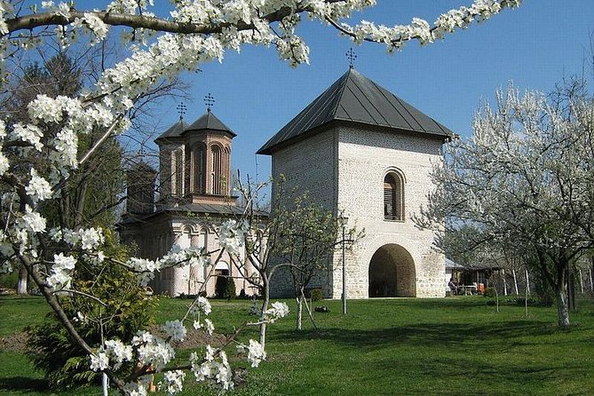 Draculas Tomb and Mogosoaia Palace, Private Tour From Bucharest - Visiting Draculas Tomb