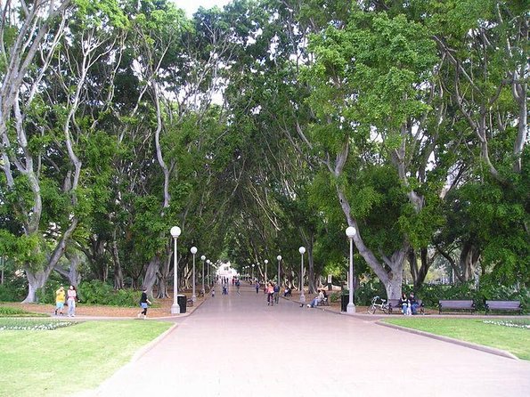 Drag Queen Walking Tour Through Sydneys LGBT District - Guest Experiences