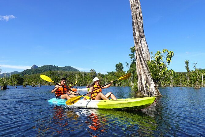 Dragon Crest Sunrise Hike and Klong Root Kayaking Private Tour - A Deep Dive into the Dragon Crest Sunrise Hike and Klong Root Kayaking Tour