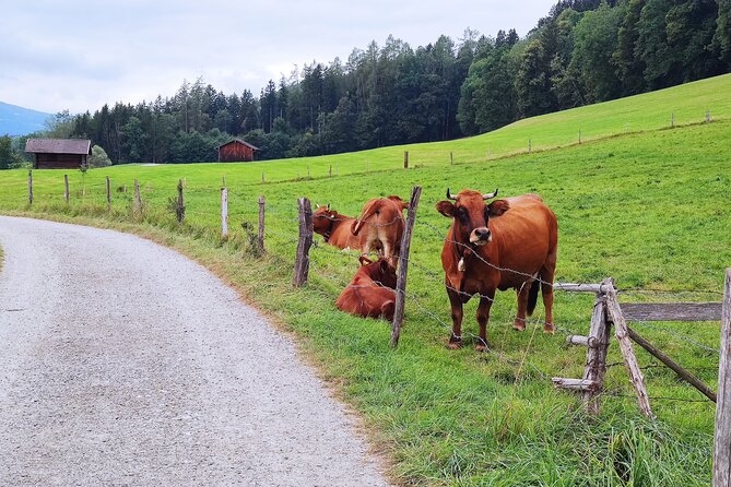 Dragon Slayer Way Beer Hike Food Experience Private Tour (departs Munich) - Meeting and Transportation