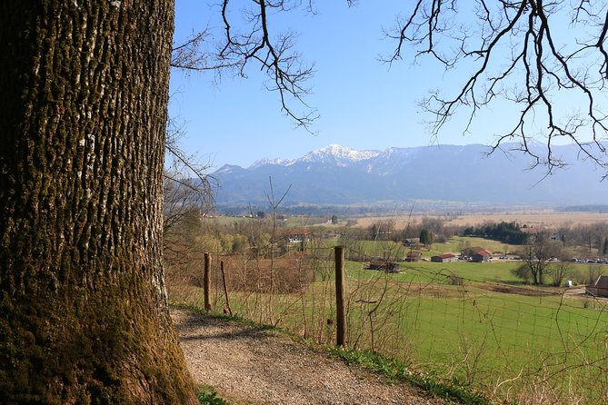 Dragon Slayer Way Beer Hike Food Experience Private Tour (departs Munich) - Hiking Experience