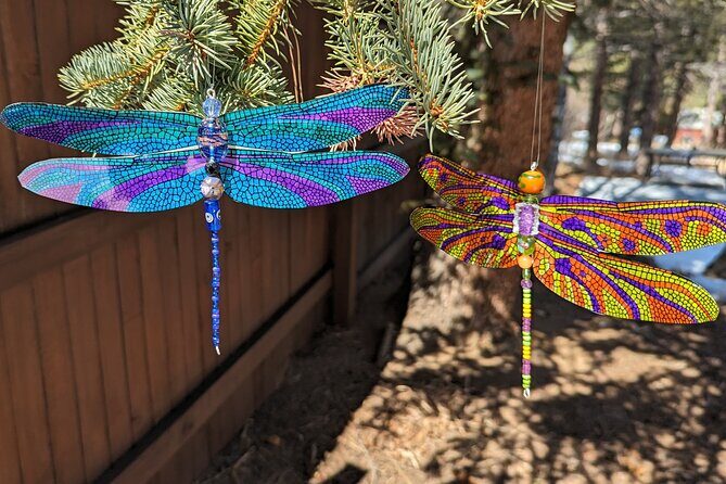 Dragonfly Suncatcher Art Kit in Estes Park - The Sum Up: Is It Worth It?