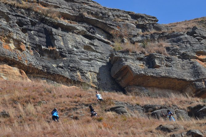 Drakensberg Kamberg Rock Art & Mandela Capture Site Day Tour From Durban - Discovering Howick Falls and Rock Art