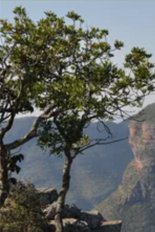 Drakensberg Mountains Plus Hiking Full Day Tour From Durban - Tour Overview