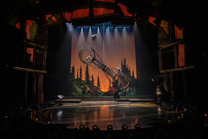 Drawn to Life Presented by Cirque Du Soleil and Disney - Venue and Accessibility Details