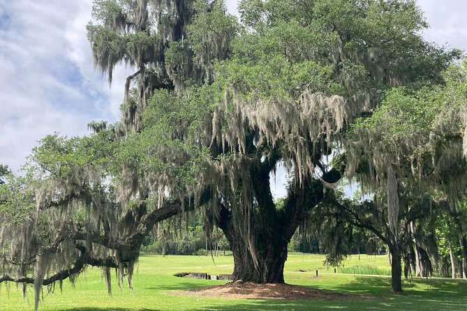 Drayton Hall Plantation Tour - Additional Tour Information