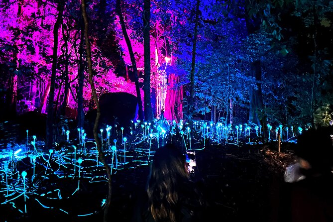 Dream Forest Langkawi Admission Ticket - Ticket Booking and Inclusions