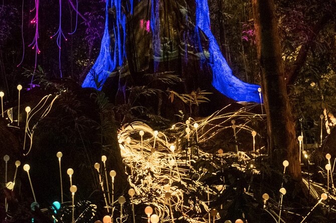 Dream Forest Langkawi Admission Ticket - Ticket Booking and Inclusions