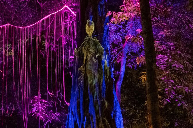 Dream Forest Langkawi Admission Ticket - Selfie Opportunities With Celebrities