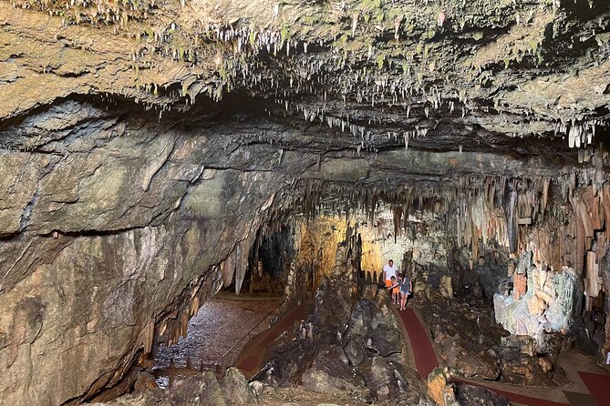 Dream Tour: Melissani Lake, Drogarati Cave, Myrtos (viewpoint) - Customer Experiences