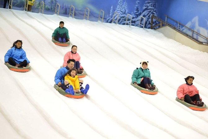 Dream World & Snow Town in Bangkok With Return Transfer & Lunch - Accessibility and Group Size