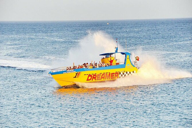 Dreamer Cave and Dolphins Boat Tour Ticket Albufeira - Suitability Considerations