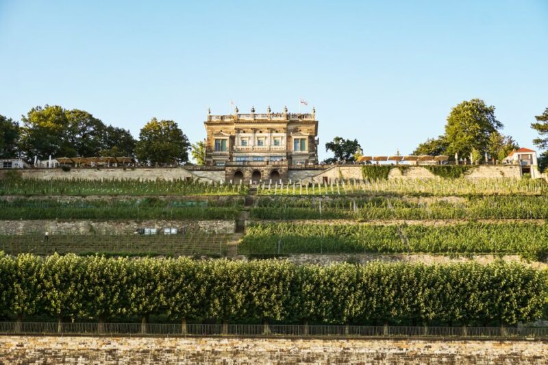 Dresden: Elbe River Cruise to Pillnitz Castle - Important Cruise Information