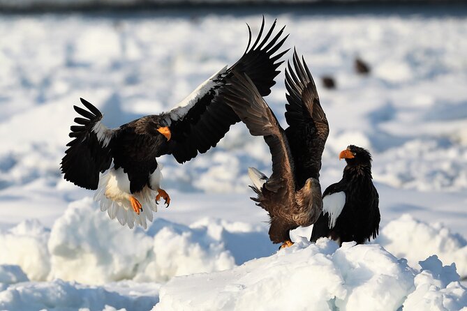 Drift Ice Walking 360° - Safety Precautions