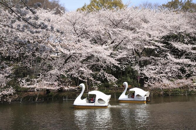 Drinks & Bites in Tokyo Private Tour - Inclusions and Exclusions