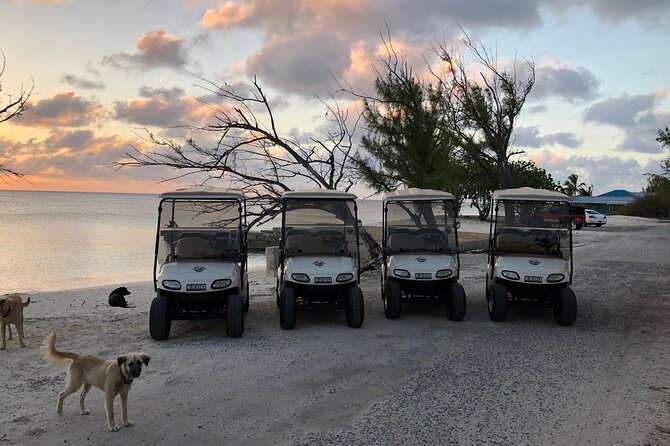 Drive GDT - Golf Cart Rentals - Overview and Features
