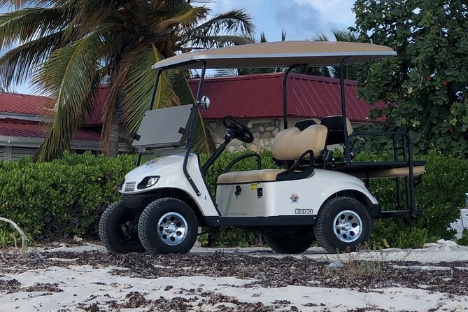 Drive GDT - Golf Cart Rentals - Vehicle Details and Amenities
