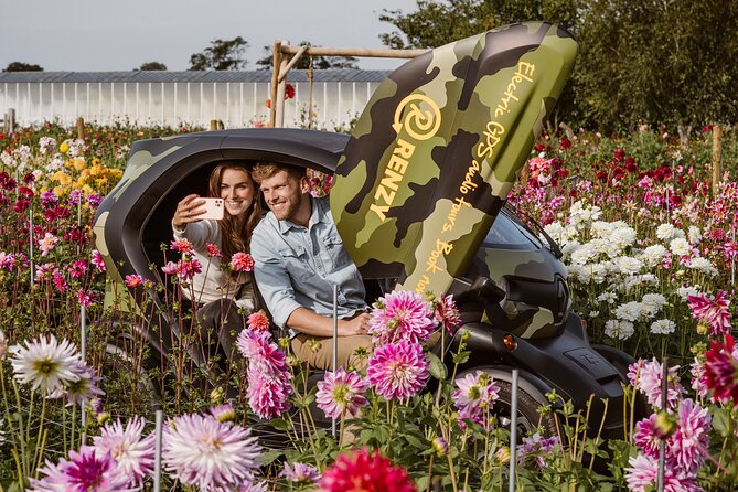 Drive It Yourself Electric Dune & Summer Flower GPS Audio Tour - Cancellation Policy