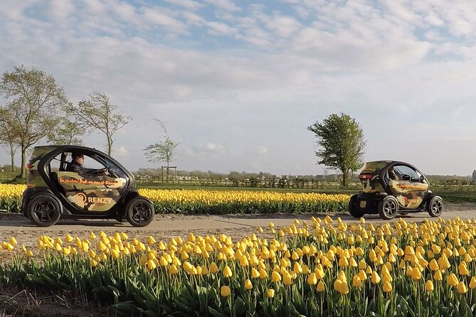 Drive It Yourself Electric Tulip and Flower Fields GPS Audio Tour - Meeting Point and Pickup Location