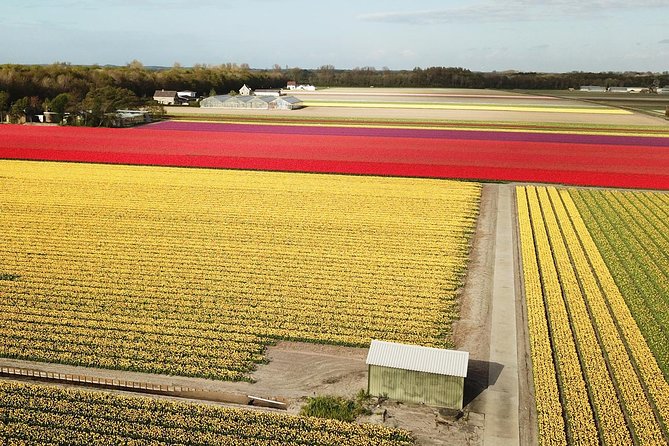 Drive It Yourself Electric Tulip and Flower Fields GPS Audio Tour - Drivers License and ID Requirements