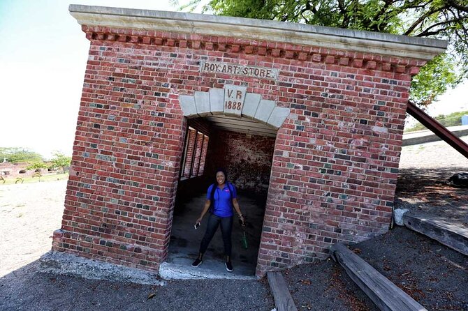 Drive With Me to the Blue Mountains/Holywell Park - Visit to Downtown Kingston