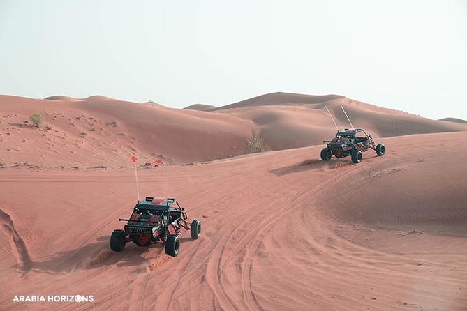 Drive Your Own Desert Fox Dune Buggy Safari - Ideal Participants and Restrictions