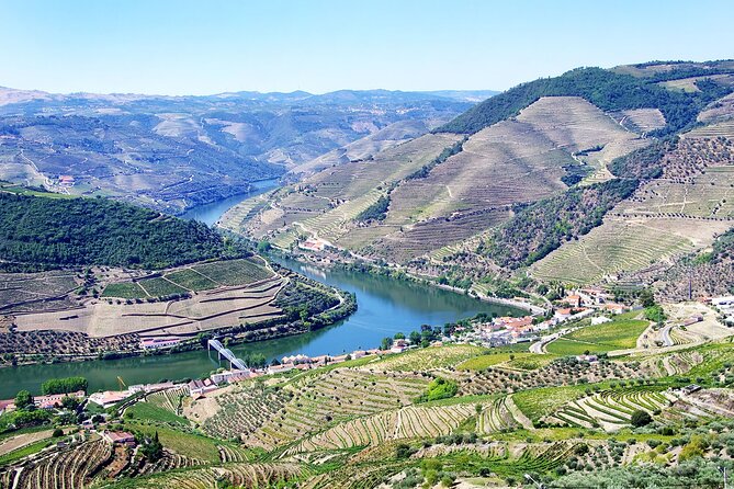 Driver With Private Vehicle in the Douro Valley - Vehicle Options and Capacities