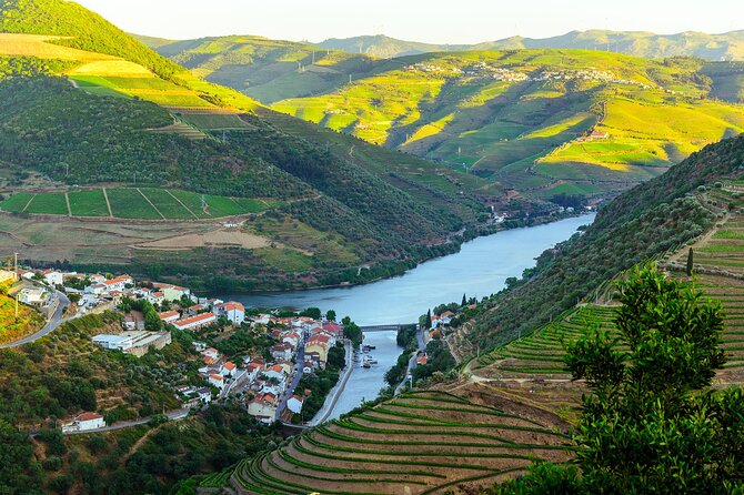 Driver With Private Vehicle in the Douro Valley - Cancellation and Refund Policy