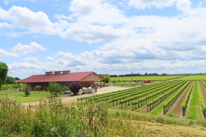 Driving in Delta's Wine Country: Private Self-Guided Audio Tour - Important Information