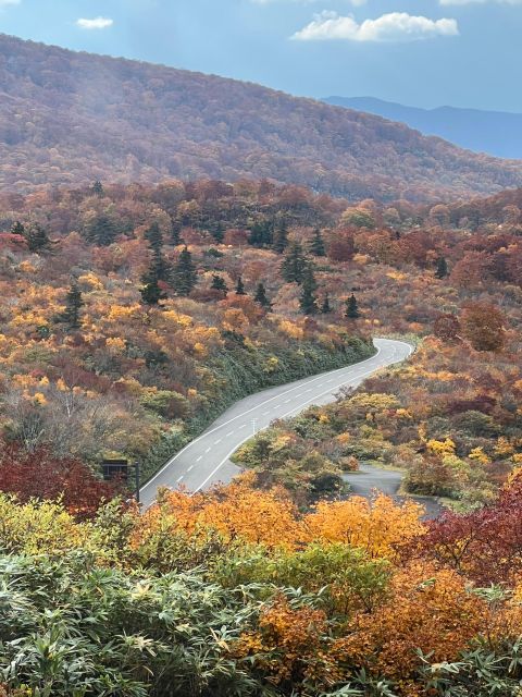 Driving Support in Akita - Pricing and Booking