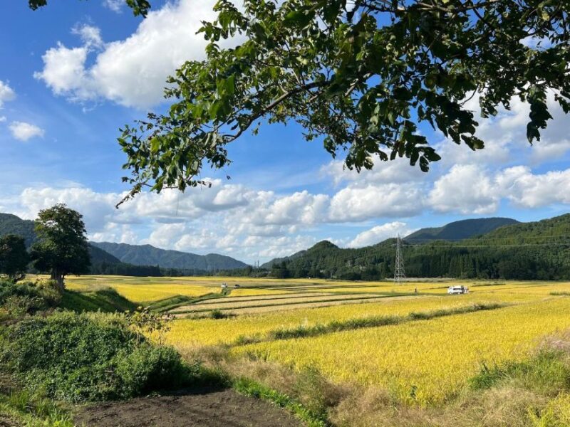 Driving Support in Akita - Meeting Locations and Drop-off