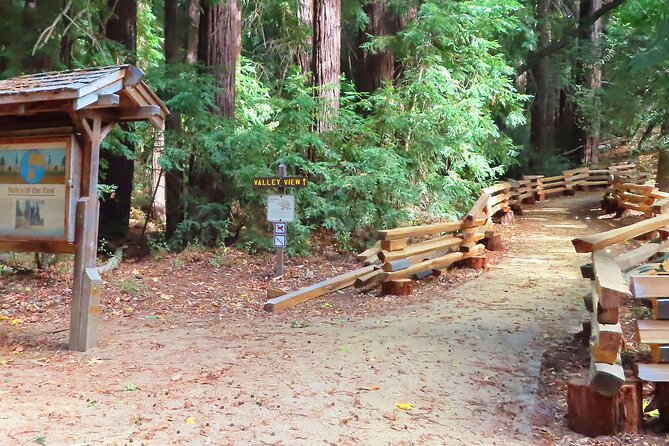 Driving the California Coast: A Self-Guided Audio Tour - Important Details to Note