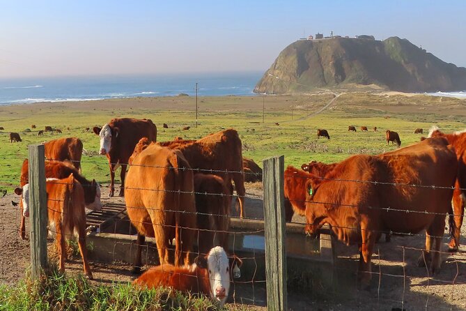 Driving the California Coast: A Self-Guided Audio Tour - Preparing for the Road Trip
