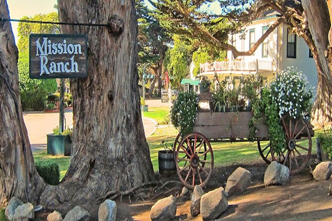 Driving the California Coast: a Self-Guided Audio Tour From Carmel to Santa Cruz - Arriving in Santa Cruz