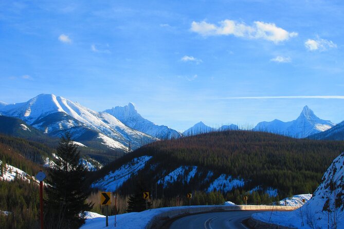 Driving Tour in Glacier National Park - Pickup Information